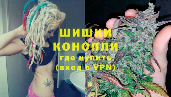 ПСИЛОЦИБИНОВЫЕ ГРИБЫ Покров