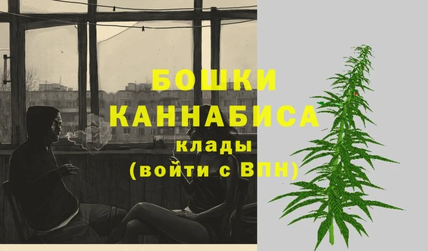 твердый Покачи
