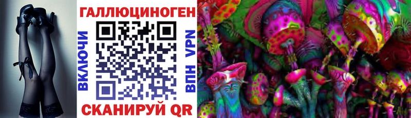 магазин продажи наркотиков  Пионерский  Псилоцибиновые грибы GOLDEN TEACHER 